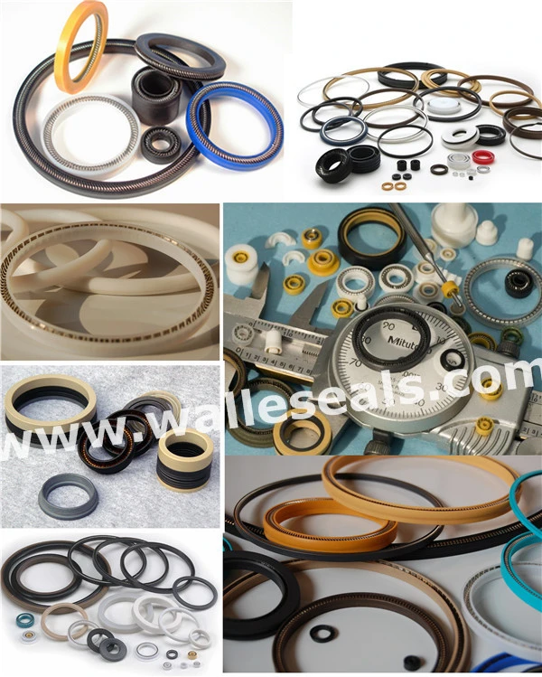Good Wear Resistant PTFE Spring Energized Seal