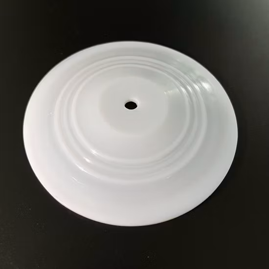 Parti della guarnizione della pompa pneumatica con resistenza alla corrosione Diaframma in PTFE