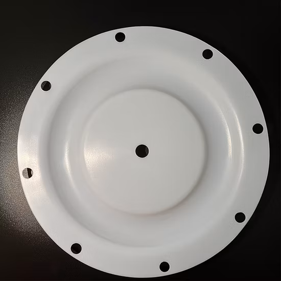 286-096-600 Kit di parti di riparazione di ricambio per pompa Diaframma in PTFE per diaframmi Sandpiper Aodd